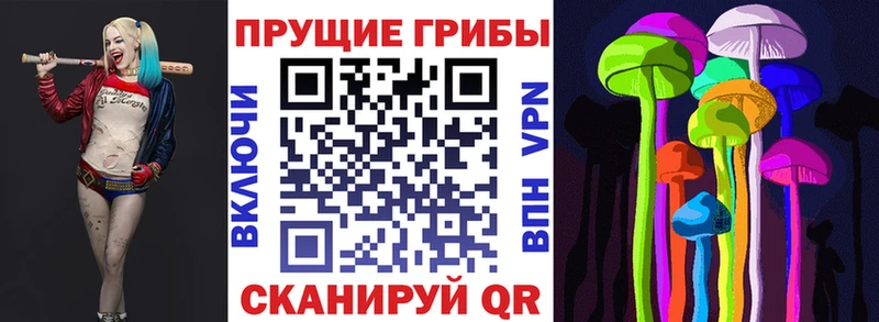 Купить где Нижний Тагил Галлюциногенные грибы Cubensis